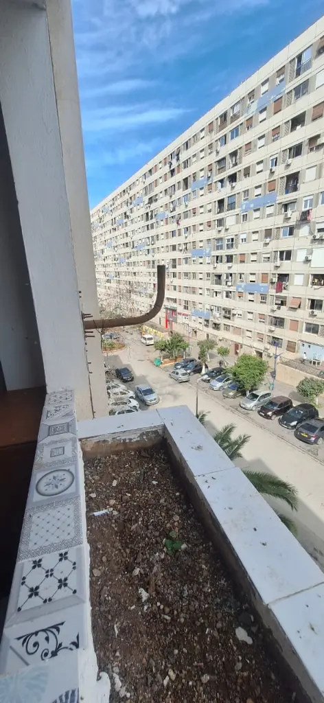 WhatsApp Image 2026-03-10 at 11.35.36 PMzzzz.webp